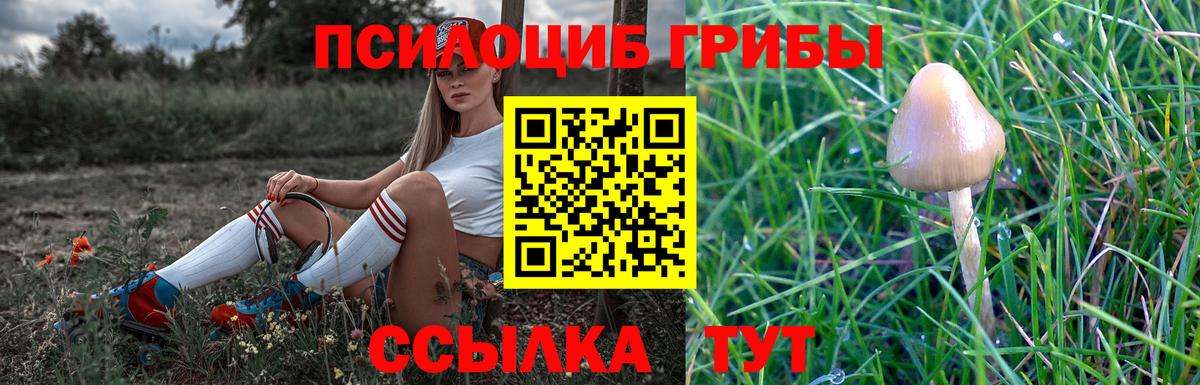 Галлюциногенные грибы мухоморы Тосно