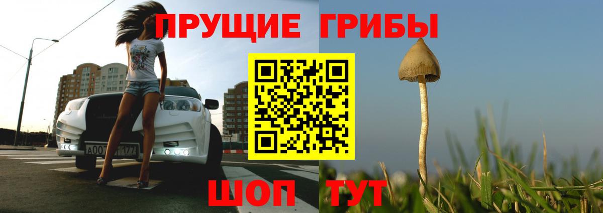 Тосно  Псилоцибиновые грибы ЛСД  Вход с VPN 
